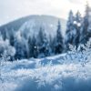 A hó varázsa: tudomány és kultúra rejtelmei