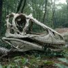 Dinoszaurusz-rejtély a Bakony mélyén