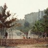 Klimatikus vészhelyzet fenyegeti Budapestet nyáron