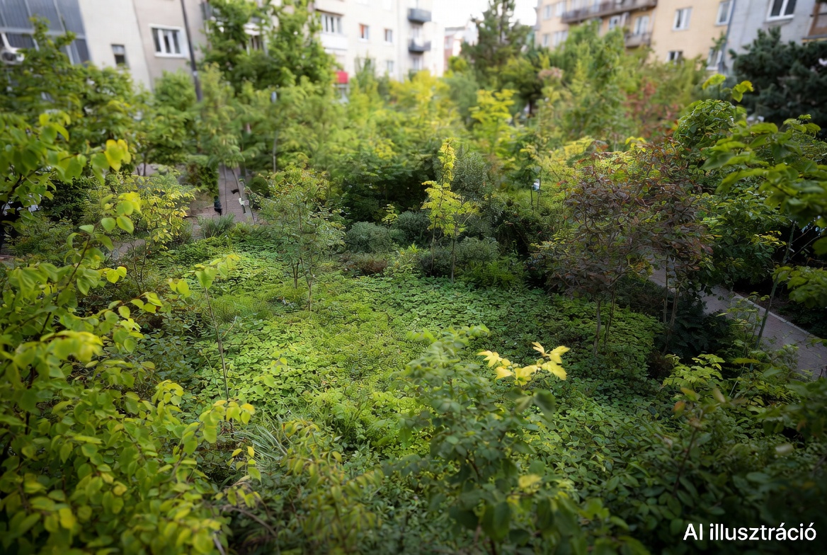 Ötéves a tabáni miyawaki erdő és a gyors városi zöldítés titka